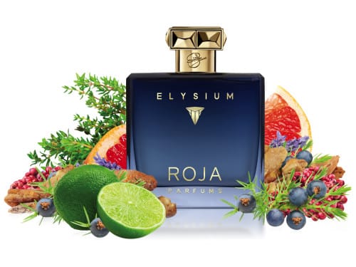 Roja - Elysium Pour Homme Parfum Cologne – olfactoryfactoryllc